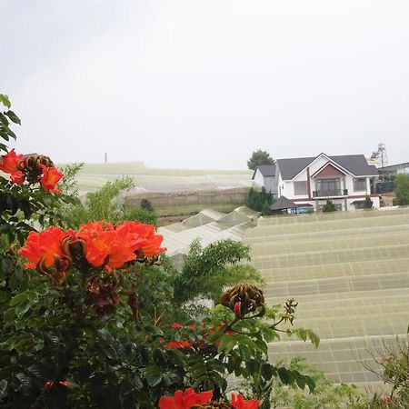 Mento Villa Da Lat Dış mekan fotoğraf