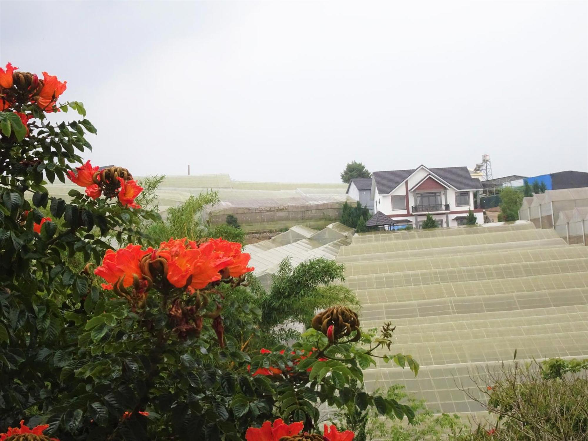 Mento Villa Da Lat Dış mekan fotoğraf