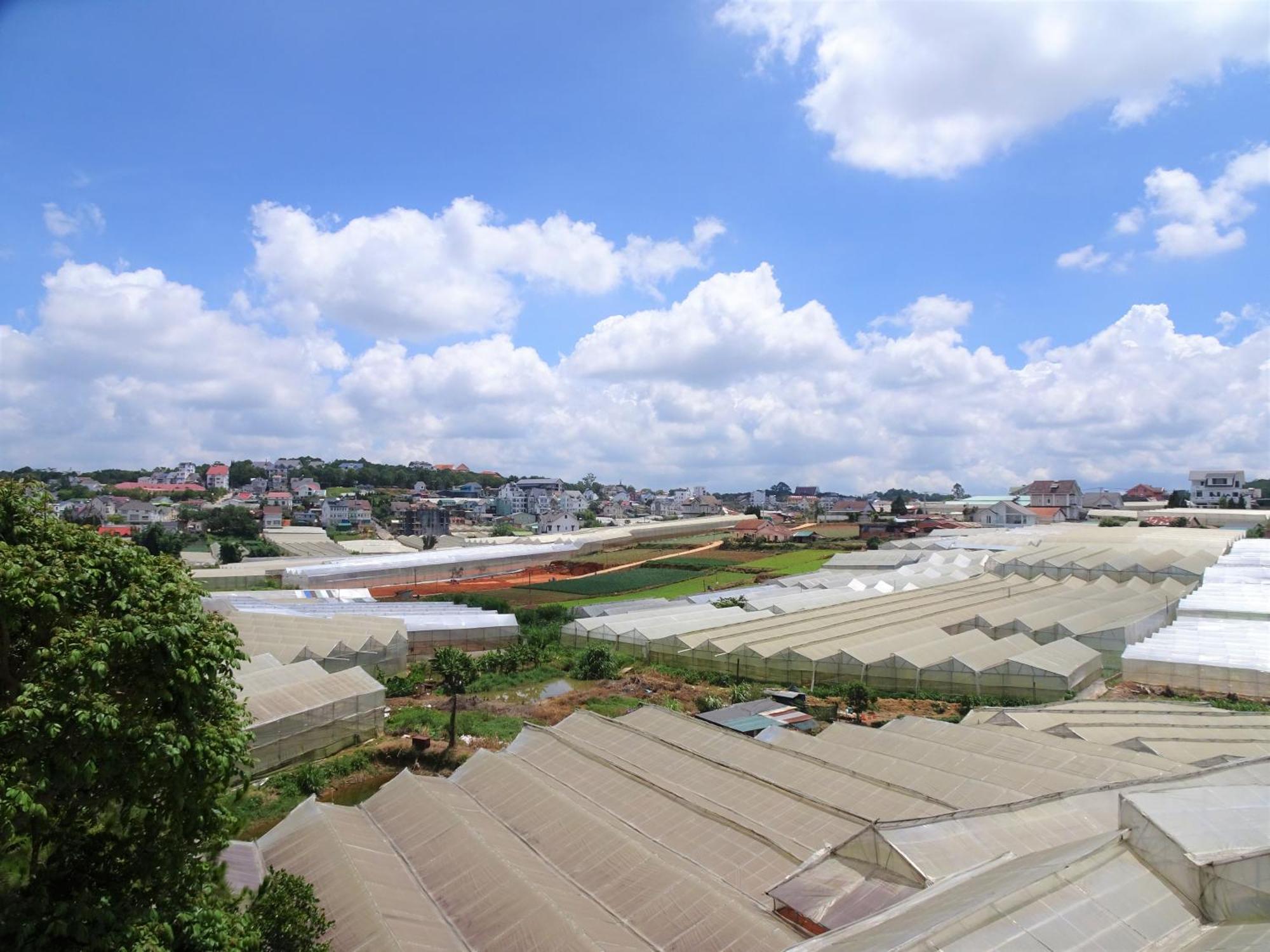 Mento Villa Da Lat Dış mekan fotoğraf