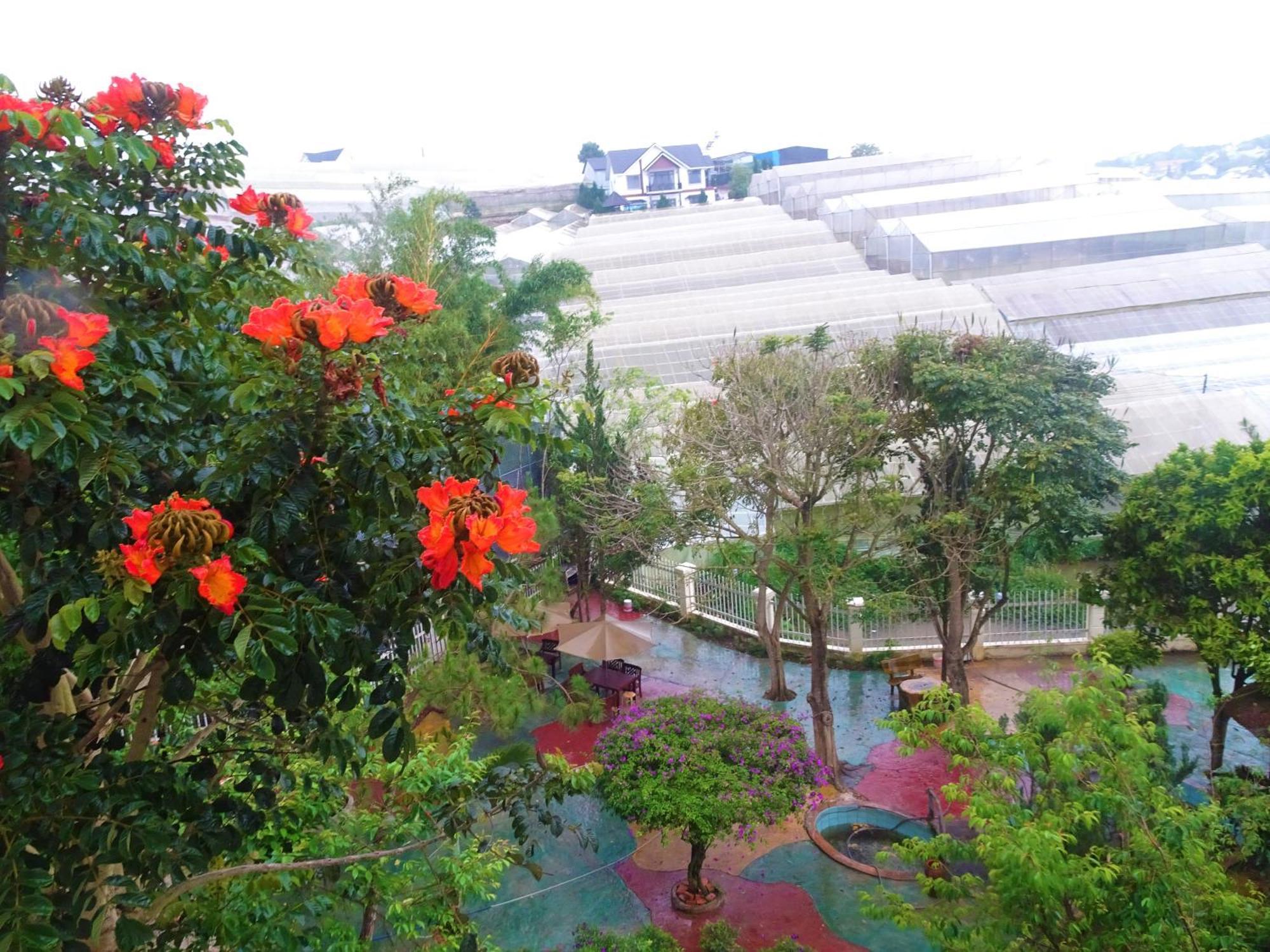 Mento Villa Da Lat Dış mekan fotoğraf